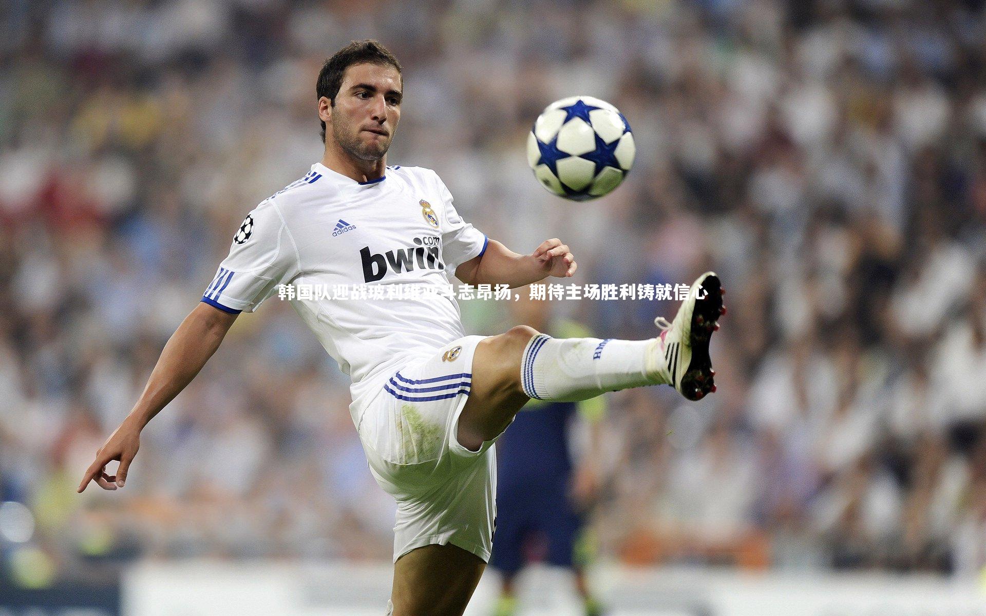 韩国队迎战玻利维亚斗志昂扬,期待主场胜利铸就信心