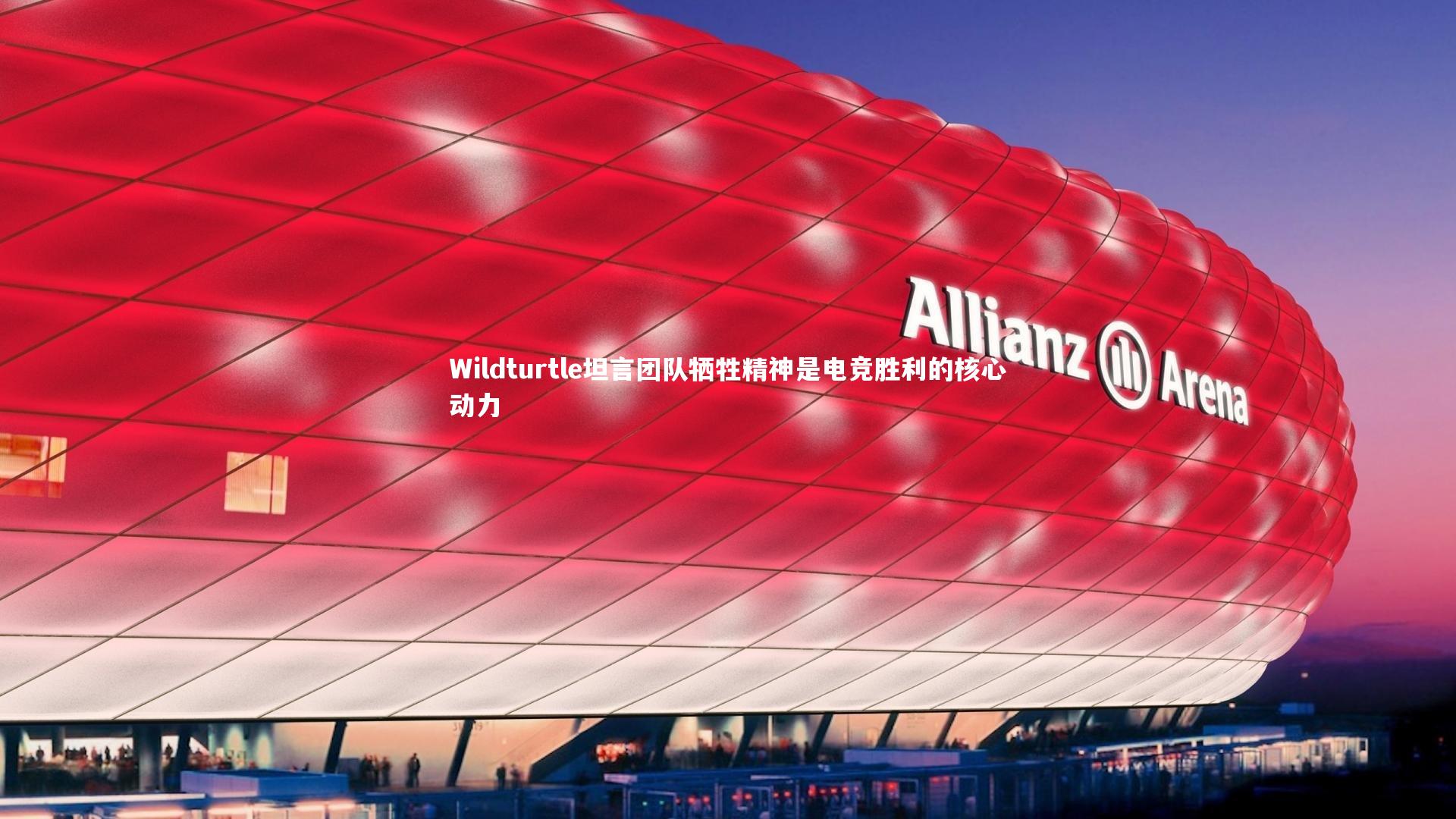 Wildturtle坦言团队牺牲精神是电竞胜利的核心动力
